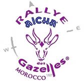 mdjs, rallye aicha des gazelles, younès el mechrafi,